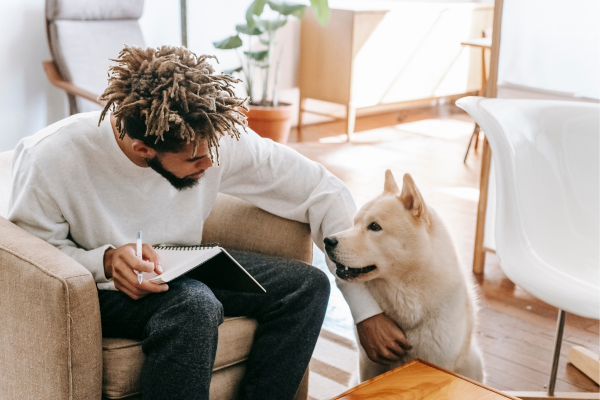 Cão de guarda as 10 raças mais protetoras e leais para proteger sua casa