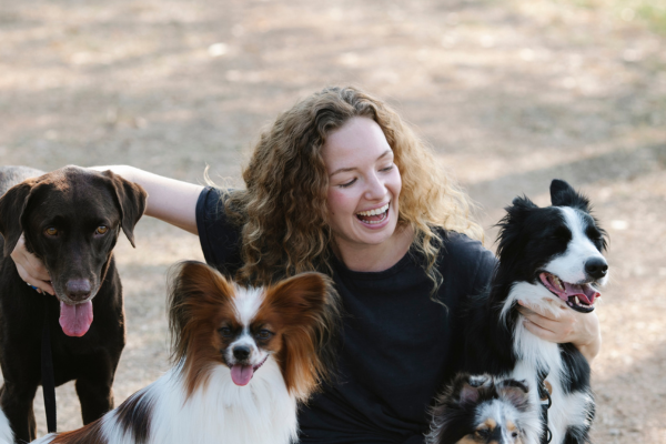 Exercícios e brincadeiras com filhotes Pet 7 coisas importantes
