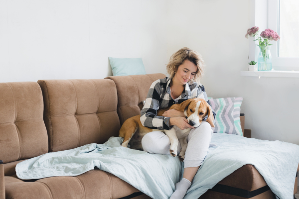 Seu cachorro saudável com dietas veganas, aprenda os 4 pontos importantes