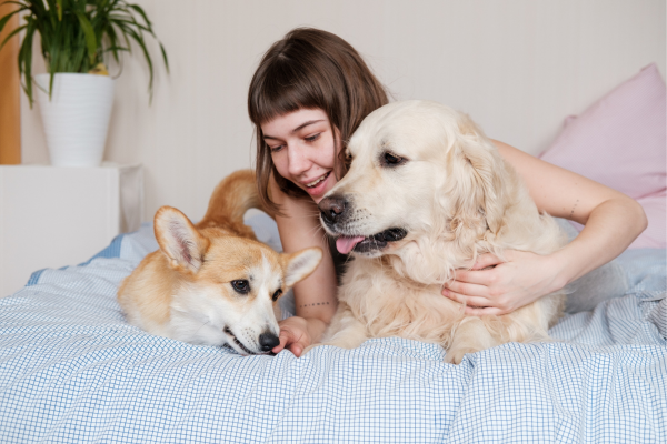 6 coisas para proporcionar um ambiente Pet para seu filhote